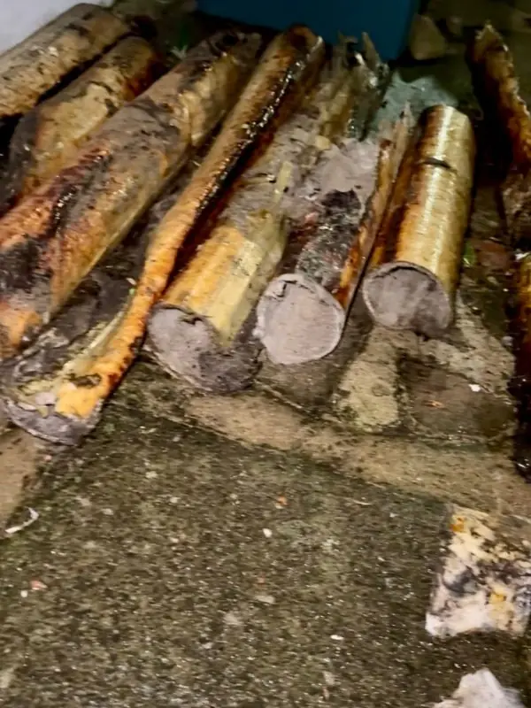 Sections of hardened debris cut out of a pipe