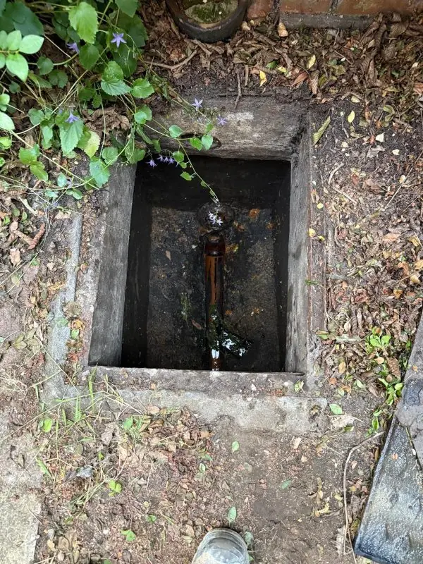 Same chamber clean and flowing after clearing